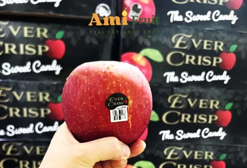 Táo mật Evercrisp Sweet Candy - Hình ảnh 2