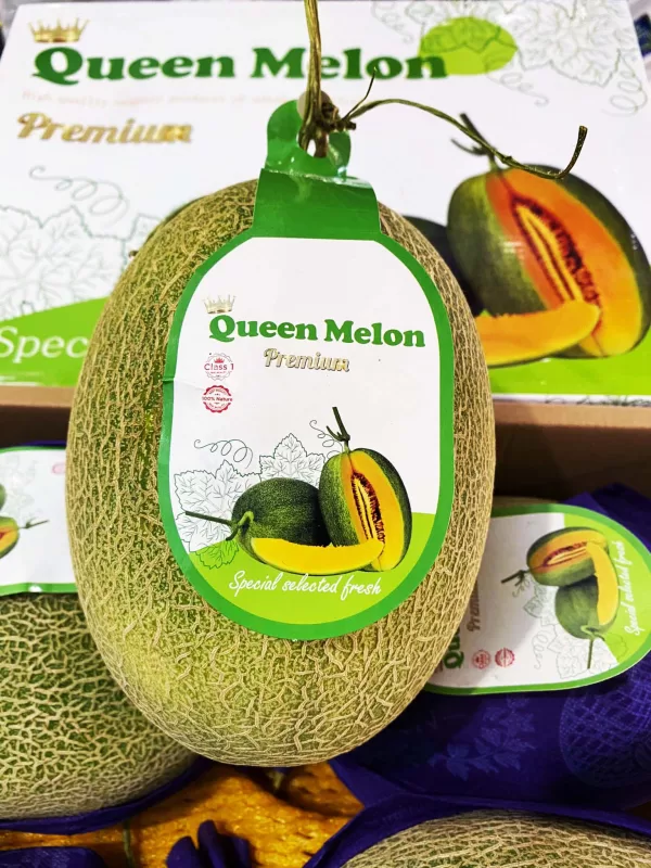 dưa lưới queen melon