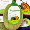 dưa lưới queen melon