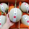 trái cây nhập khẩu