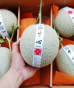 trái cây nhập khẩu
