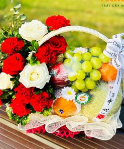 lãng hoa quả nhập khẩu