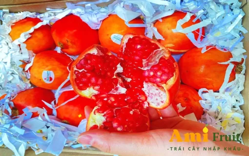 lựu đỏ ấn độ