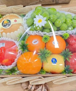 Khay trái cây quà tặng