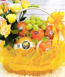 giỏ hoa quả nhập khẩu biếu tặng
