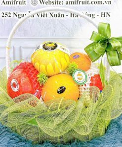 giỏ trái cây nhập khẩu