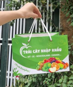 túi giấy đựng giỏ quà trái cây nhập khẩu