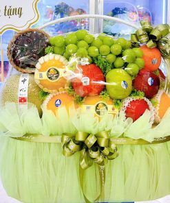 giỏ hoa quả nhập khẩu cao cấp